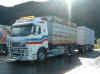 Valdres Last newVolvo Container-HZ.JPG (27555 Byte)